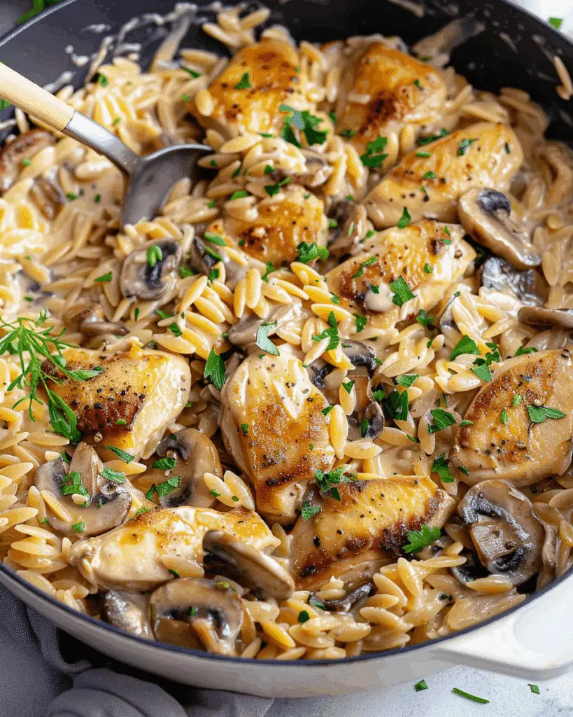 One Pot Creamy Chicken Mushroom Orzo With Parmesan